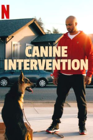 Canine Intervention streaming