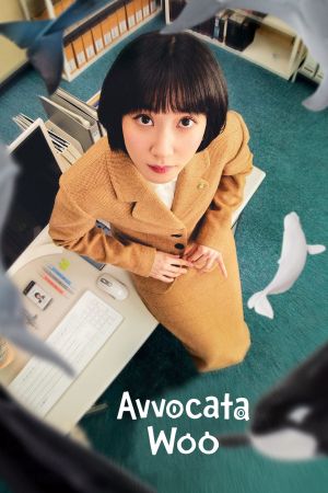 Avvocata Woo streaming